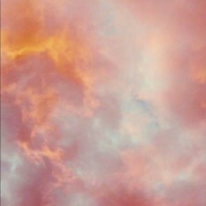 Meet your Posher, Destiny